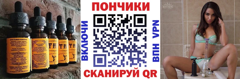 Купить закладки  Заволжье  Canna-Cookies конопля 