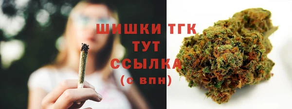 стаф Гусиноозёрск