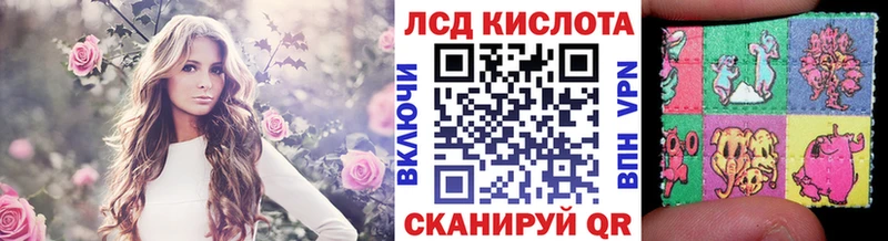 Купить закладки  Заволжье  Марки N-bome 1,8мг 